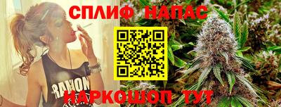 соль ск Обь